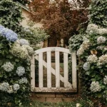 Hortensiahoolduse saladus: millal lõigata põõsaid tagasi, et mitte hävitada värvi hortensiahoolduse-saladus-millal-loigata-poosaid-tagasi-et-mitte-havitada-varvi.webp.webp