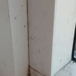 Kuidas nõudepesuvahend aitab teid hallituse eest säästa - ekspertide nõuanded kuidas-noudepesuvahend-aitab-teid-hallituse-eest-saasta-ekspertide-nouanded.webp.webp